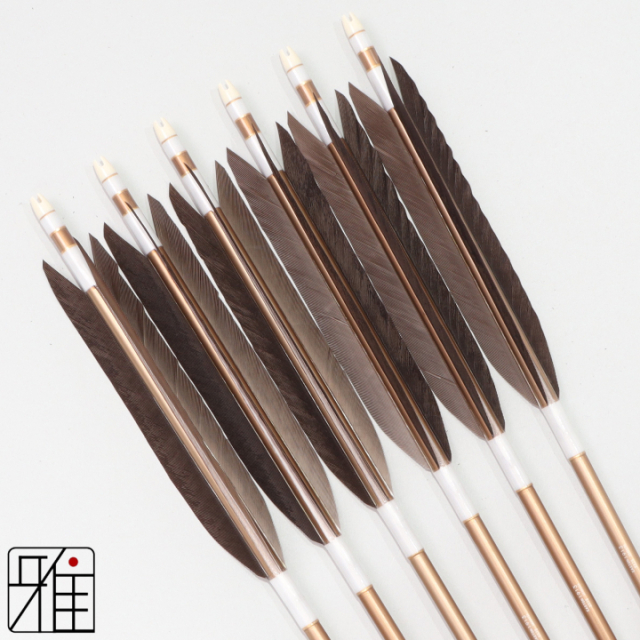 弓道 ジュラ矢 黒手羽 1913茶|6本組|矧糸:白系|194021