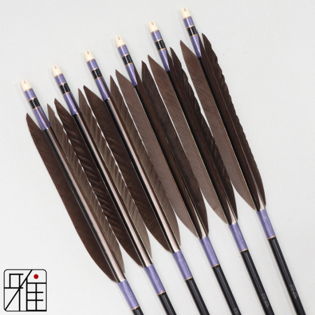 弓道 ジュラ矢 黒手羽 1913黒|6本組|矧糸:紫系|194046