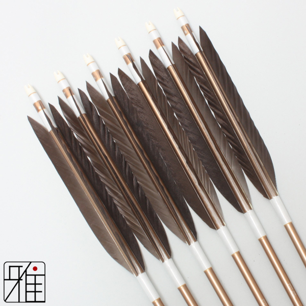 弓道 ジュラ矢 黒羽根 手羽 1913茶|6本組|矧糸:白系|19503
