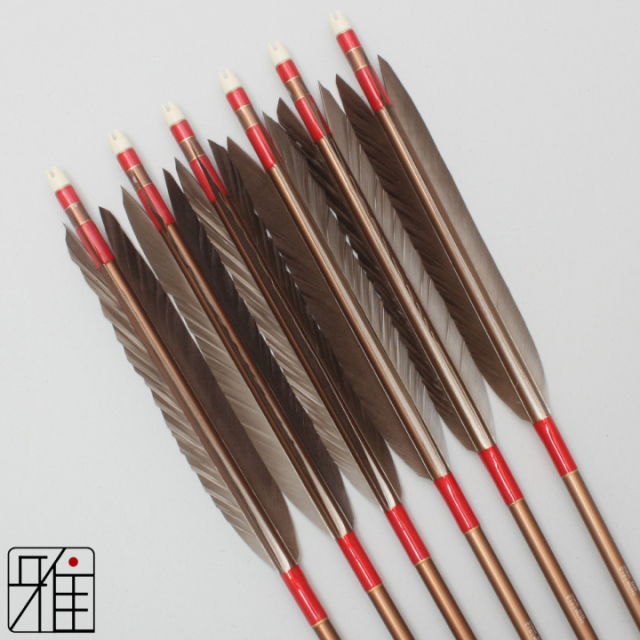 弓道 ジュラ矢 黒羽根 手羽 1913茶|6本組|矧糸:赤系|19567