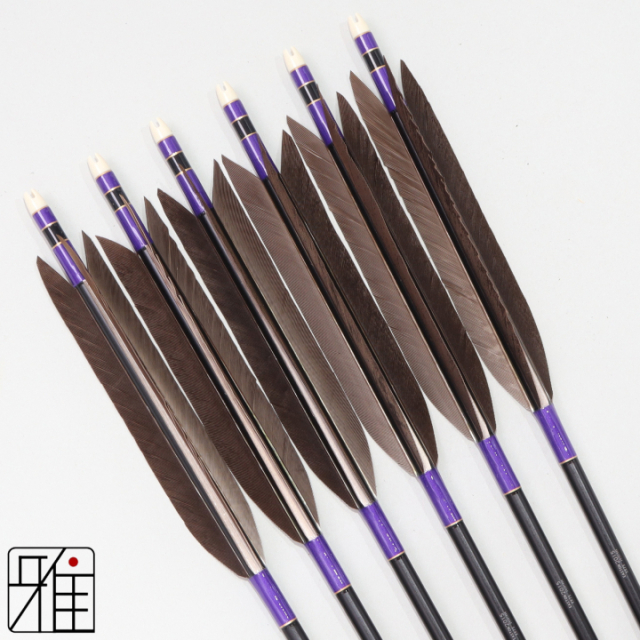 弓道 矢 ジュラ矢 黒羽根 手羽 2015黒|6本組|矧糸:紫系|201007