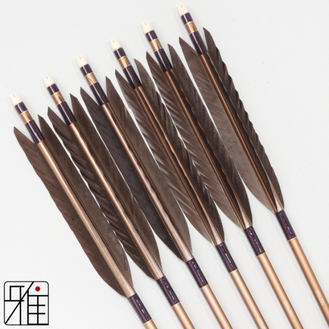 弓道 矢 ジュラ矢 黒羽根 手羽 2015茶|6本組|矧糸:紫系|201011