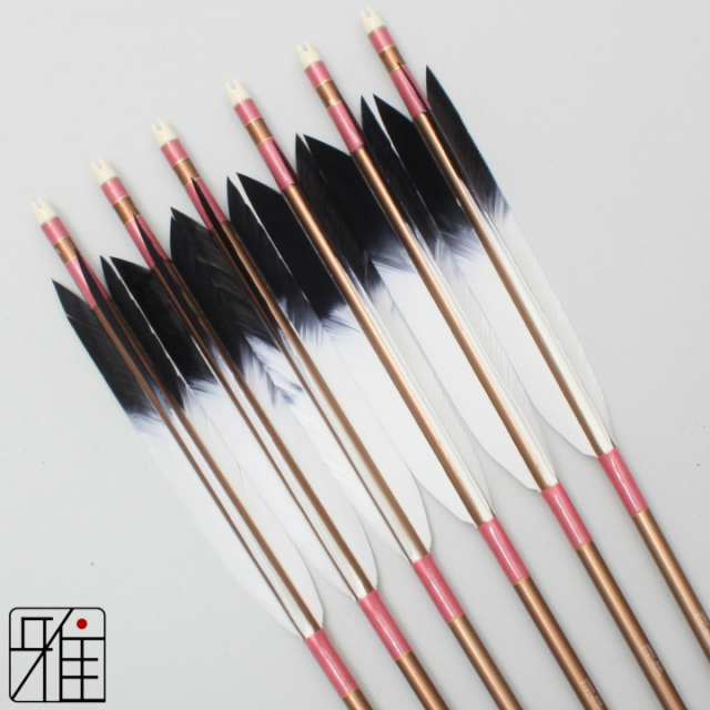 弓道 ジュラ矢 ターキー先黒染羽 1913茶|6本組|矧糸:桃系|19365