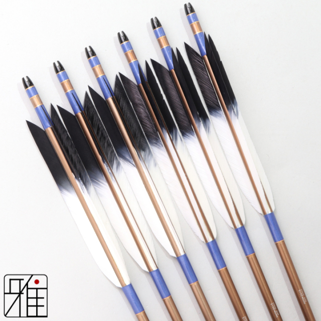 弓道 ジュラ矢 ターキー先黒染羽 2015茶|6本組|矧糸:青系|202088