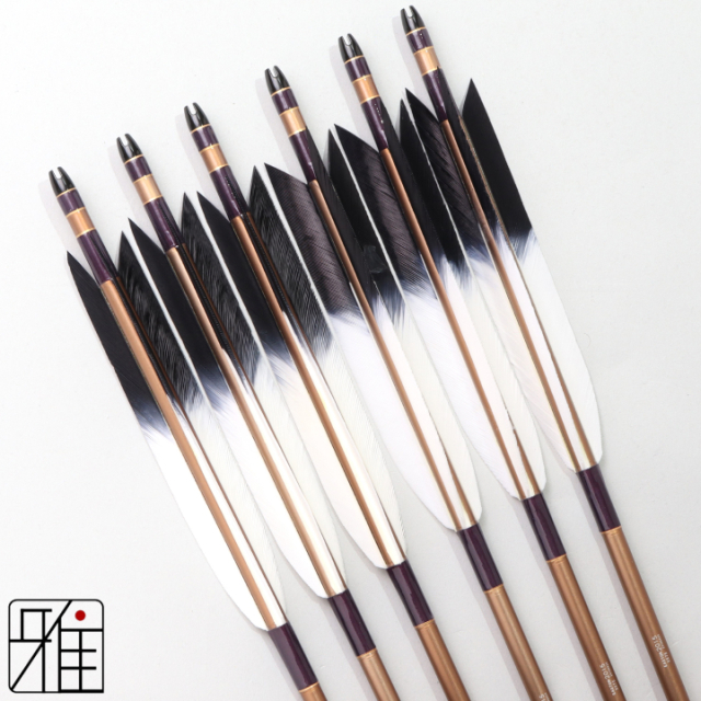 弓道 ジュラ矢 ターキー先黒染羽 2015茶|6本組|矧糸:紫系|202089