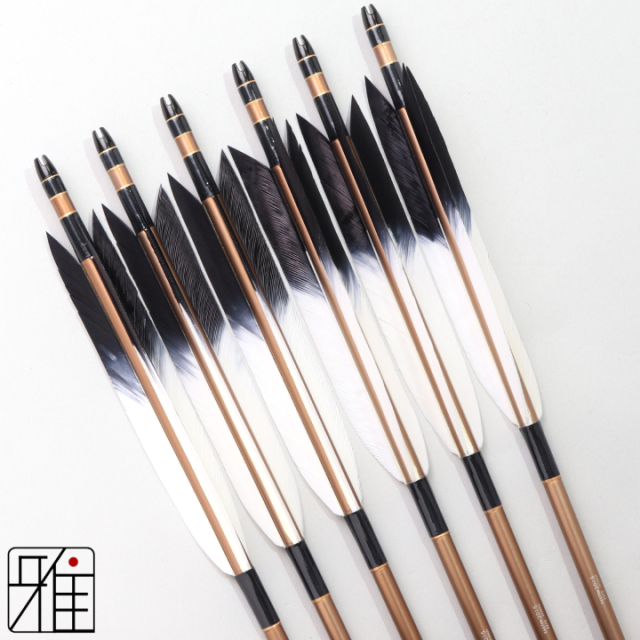 弓道 ジュラ矢 ターキー先黒染羽 2015茶|6本組|矧糸:黒系|202091