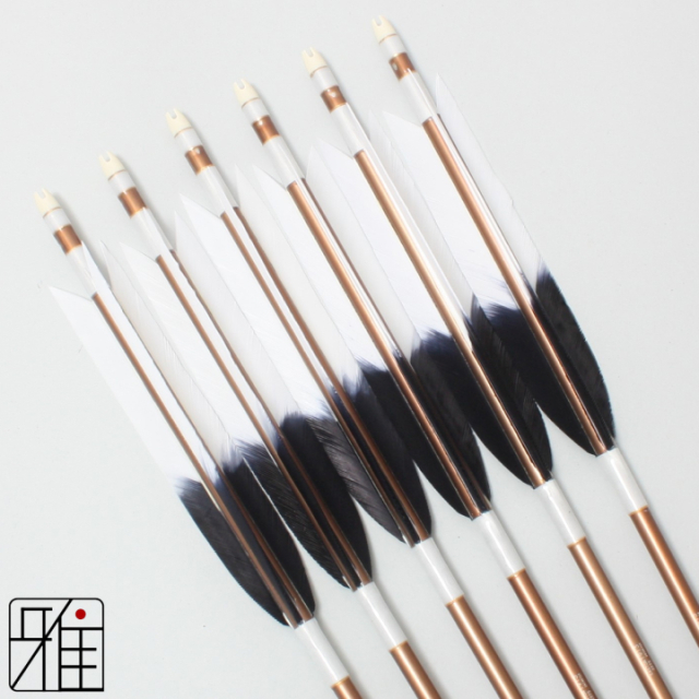 弓道 ジュラ矢 ターキー元黒染羽 1913茶|6本組|矧糸:白系|19373