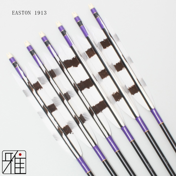EASTON xx75 1913 95cm 弓道矢 6本矢筒セット 弓道 矢 6本 矢筒 セット｜武道・格闘技