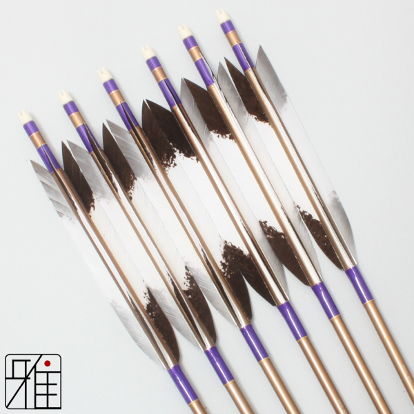 弓道 ジュラ矢 ターキー手描染羽 1913茶|6本組|矧糸:紫系|19258