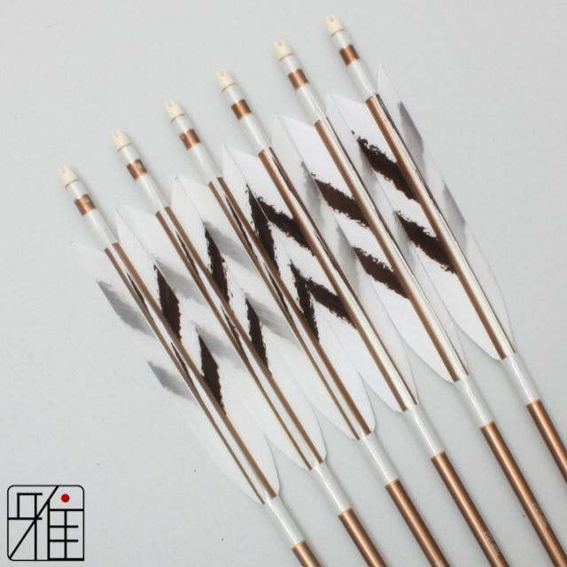 弓道 ジュラ矢 ターキー手描染羽 1913茶|6本組|矧糸:白系|19419