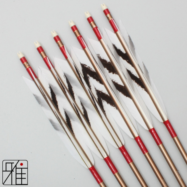 弓道 ジュラ矢 ターキー手描染羽 1913茶|6本組|矧糸:赤系|19420