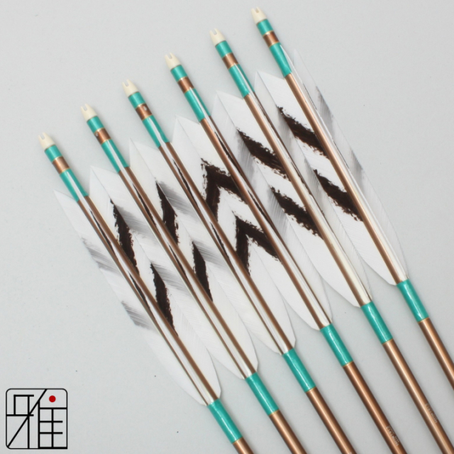 弓道 ジュラ矢 ターキー手描染羽 1913茶|6本組|矧糸:緑系|19422
