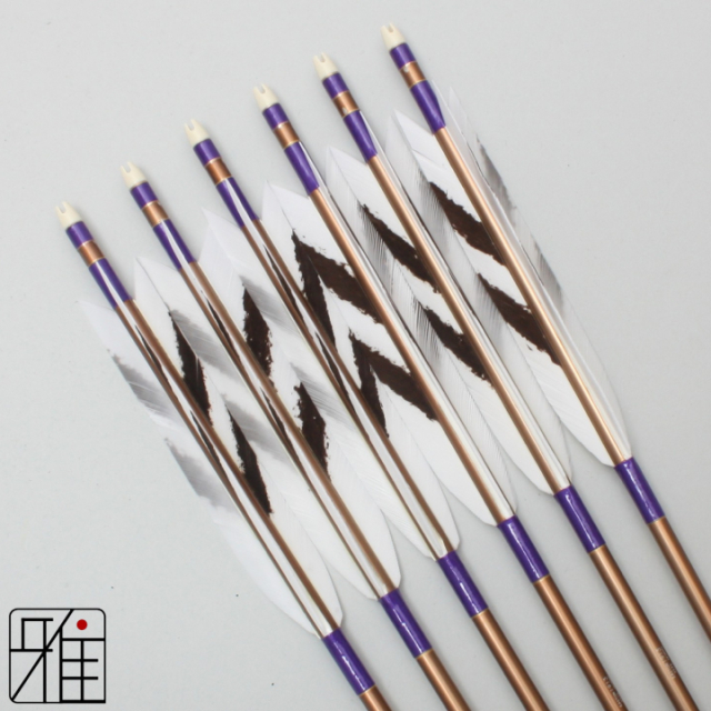 弓道 ジュラ矢 ターキー手描染羽 1913茶|6本組|矧糸:紫系|19423