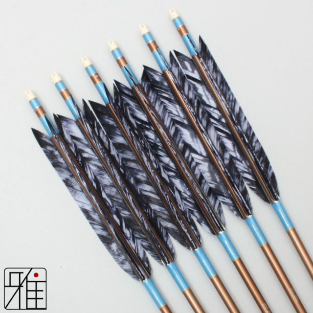 弓道 ジュラ矢 ターキー差斑染羽 1913茶|6本組|矧糸:青系|19436