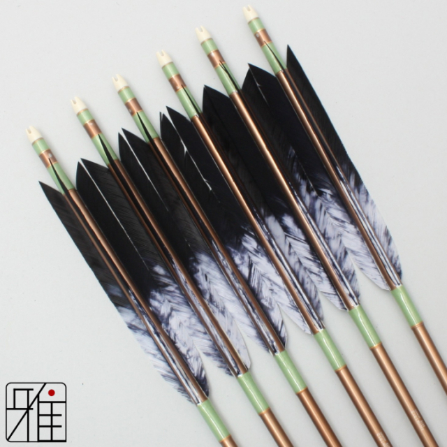 弓道 ジュラ矢 ターキー差斑染羽 1913茶|6本組|矧糸:緑系|19452