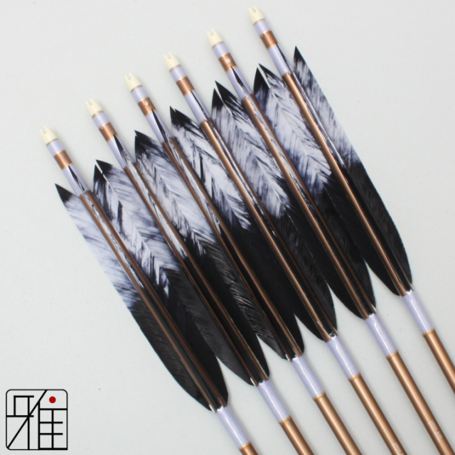 弓道 ジュラ矢 ターキー差斑染羽 1913茶|6本組|矧糸:紫系|19459