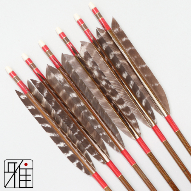 弓道 イーストン カーボン矢 ターキートラ班羽 7620|6本組|矧糸:赤系|768103