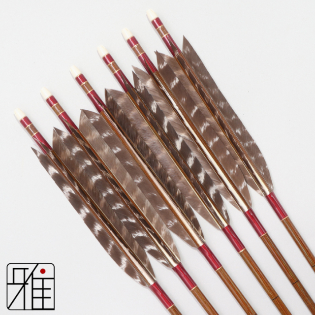 弓道 イーストン カーボン矢 ターキートラ班羽 7620|6本組|矧糸:赤系|768111