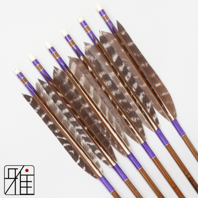弓道 イーストン カーボン矢 ターキートラ班羽 7620|6本組|矧糸:紫系|768112