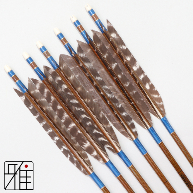 弓道 イーストン カーボン矢 ターキートラ班羽 7620|6本組|矧糸:青系|768113