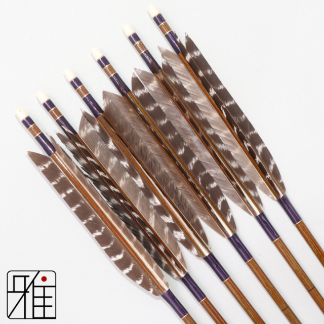 弓道 イーストン カーボン矢 ターキートラ班羽 7620|6本組|矧糸:紫系|768114