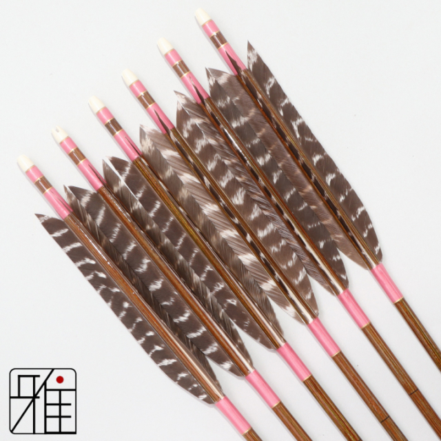 弓道 イーストン カーボン矢 ターキートラ班羽 7620|6本組|矧糸:桃系|768115