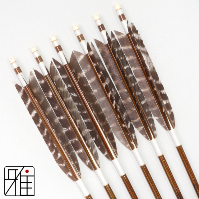 弓道 イーストン カーボン矢 ターキートラ班 8023|6本組|矧糸:白系|808300