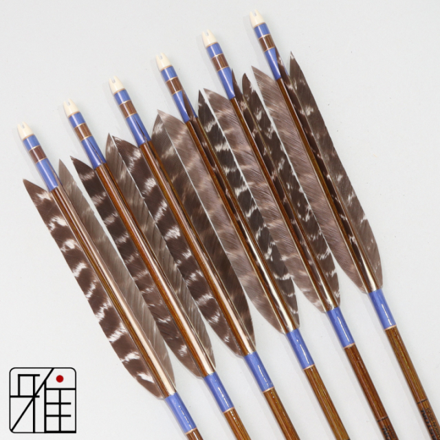 弓道 イーストン カーボン矢 ターキートラ班 8023|6本組|矧糸:青系|808301