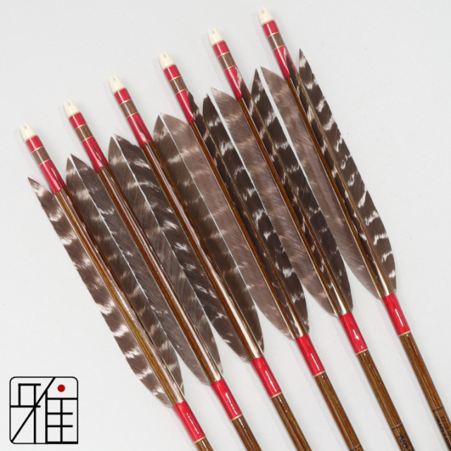 弓道 イーストン カーボン矢 ターキートラ班 8023|6本組|矧糸:赤系|808302