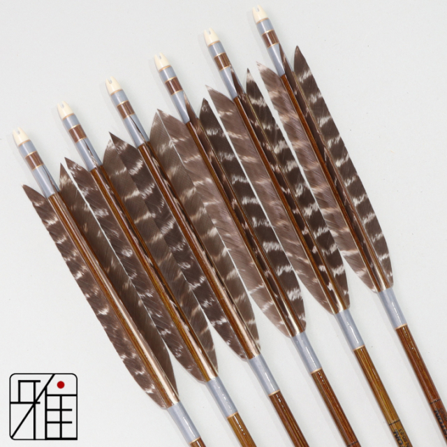 弓道 イーストン カーボン矢 ターキートラ班 8023|6本組|矧糸:灰系|808304