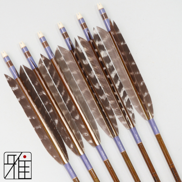 弓道 イーストン カーボン矢 ターキートラ班 8023|6本組|矧糸:紫系|808306