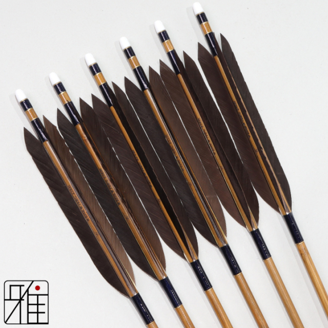 弓道 ミズノ カーボン矢 黒手羽 WENEW 76BC|6本組|矧糸:青系|769301