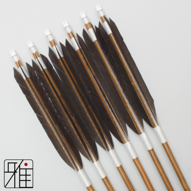 弓道 矢 ミズノ カーボン矢 黒尾羽 WENEW 76BC|6本組|矧糸:白系|76165