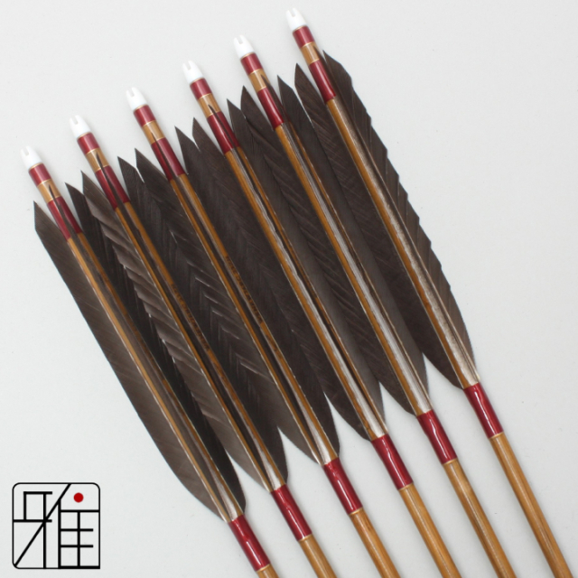 弓道 矢 ミズノ カーボン矢 黒尾羽 WENEW 76BC|6本組|矧糸:赤系|76166