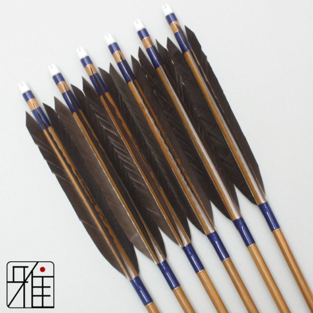 弓道 矢 ミズノ カーボン矢 黒尾羽 WENEW 80BC|6本組|矧糸:青系|80168