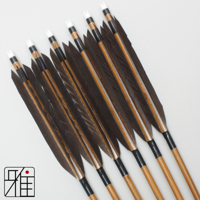 弓道 矢 ミズノ カーボン矢 黒尾羽 WENEW 84BC|6本組|矧糸:黒系|84169