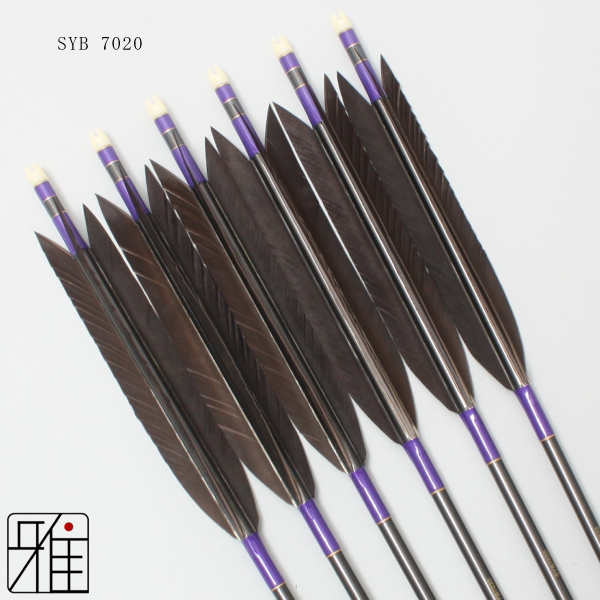 弓道 矢 エスワイカーボン矢 SY Carbon｜6本組 翠山弓具店suizan
