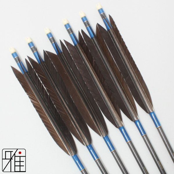 弓道 矢 エスワイカーボン矢 SY Carbon｜6本組 翠山弓具店suizan kyugu