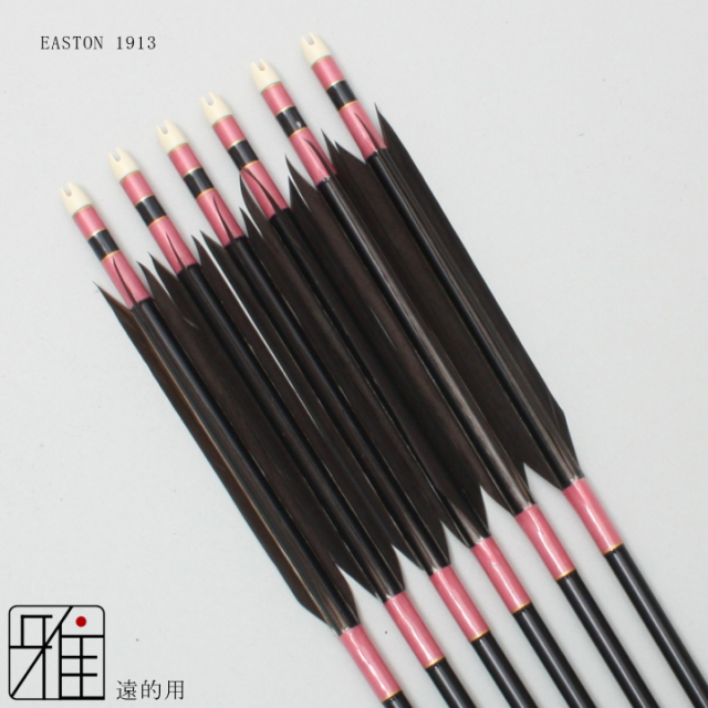 EASTON イーストン矢と矢筒 イーストン XX75 1913 弓道 22本 弓道矢
