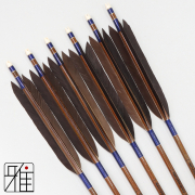 弓道 矢 ミズノ カーボン矢 黒尾羽 WENEW 80BC｜6本組｜翠山弓具店