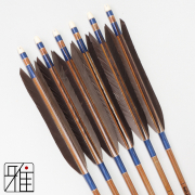 カーボン矢EASTON CARBON