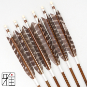 弓道 イーストン カーボン矢 ターキートラ班羽 8023|6本組|矧糸:白系|808300