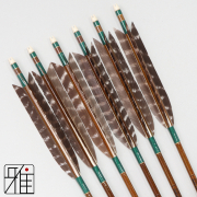 弓道 イーストン カーボン矢 ターキートラ班羽 8023|6本組|矧糸:緑系|808305