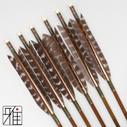 弓道 イーストン カーボン矢 ターキートラ班羽 8023|6本組|矧糸:緑系|808309