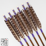 弓道 イーストン カーボン矢 ターキートラ班羽 8023|6本組|矧糸:紫系|808314