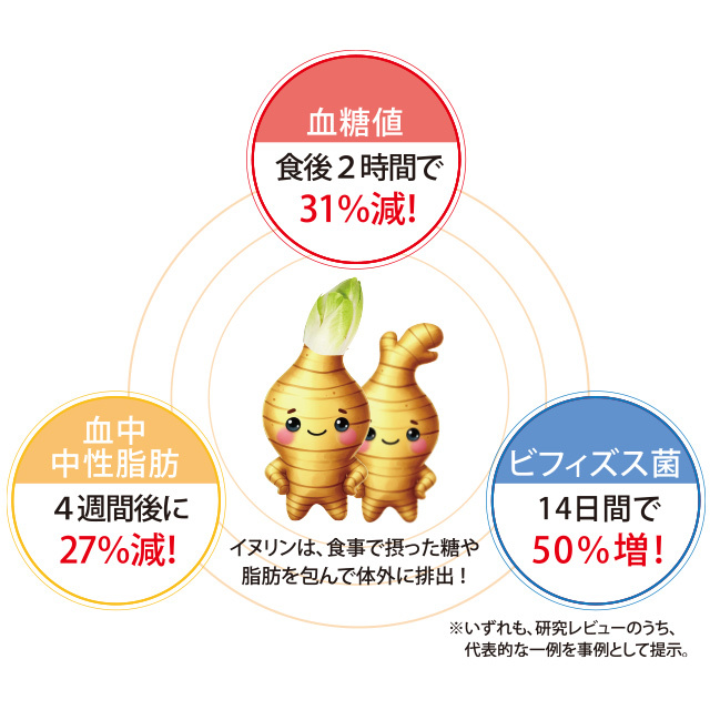 チコリのイヌリン（血糖値・血中中性脂肪を減らし、ビフィズス菌を増やす）