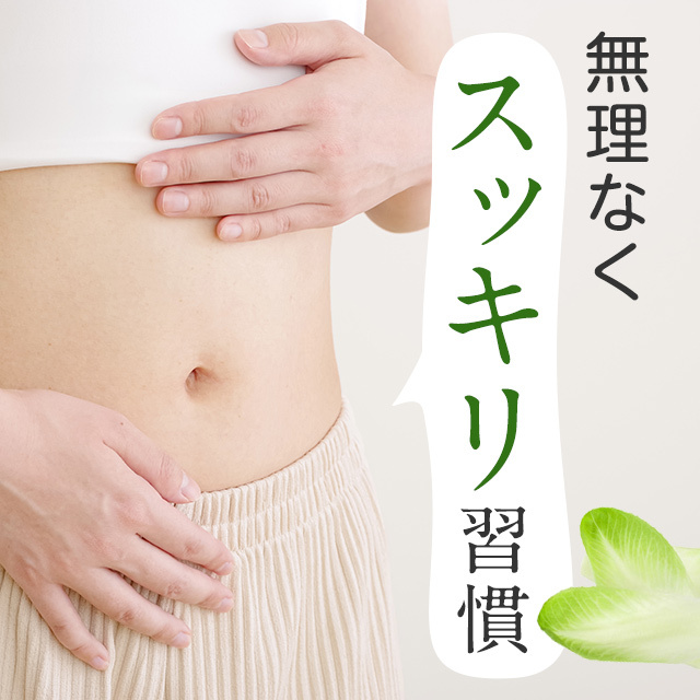 チコリのイヌリン　お腹の調整を整えて、無理なくスッキリ習慣