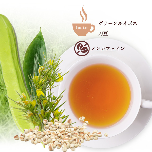薬膳茶SALA（サラ）発酵素材～植物性プラセンタ様エキス配合