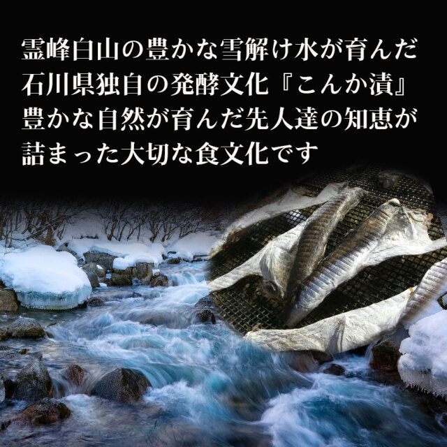ふぐ卵巣の糠漬け