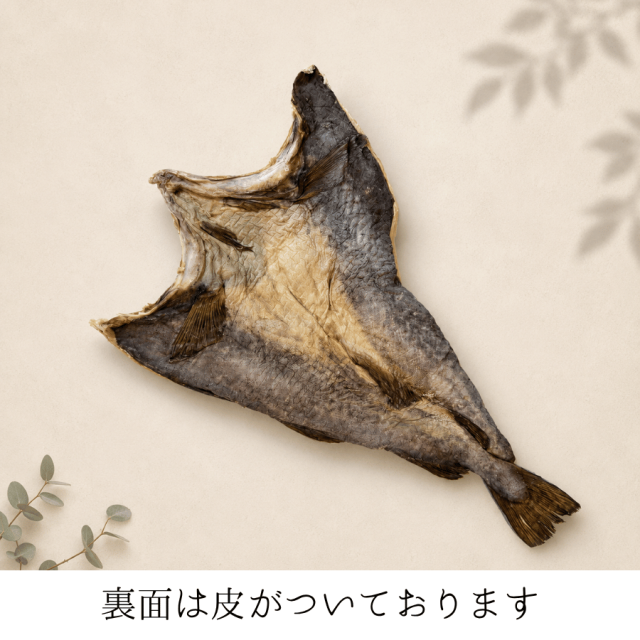 無頭たら裏面